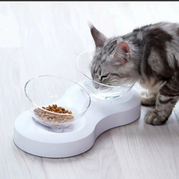 FOREYY Elevated Raised Pet Bowls for Cats & Small Dogs Stand Feeder 20° Tilt - Picture 5 of 10